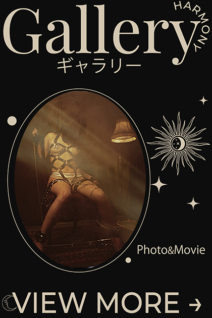 ギャラリー